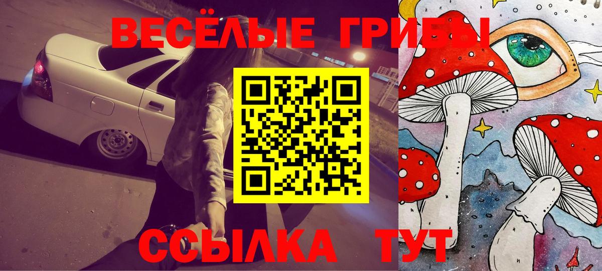 Псилоцибиновые грибы мухоморы  Лесосибирск 