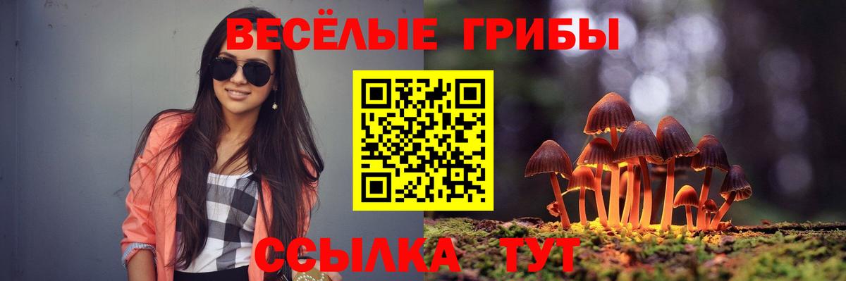 Псилоцибиновые грибы GOLDEN TEACHER Лесосибирск